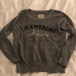 Never worn - Champagne Dreams sweater